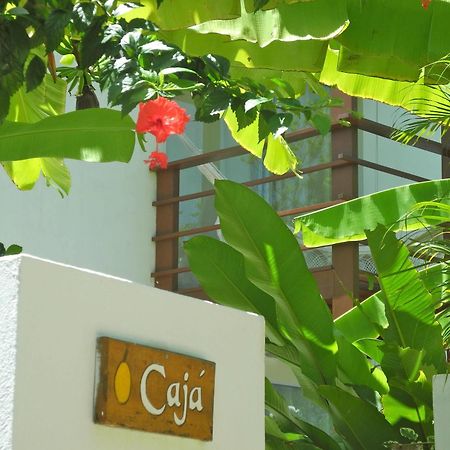 מלון Praia de Pipa La Reserve מראה חיצוני תמונה